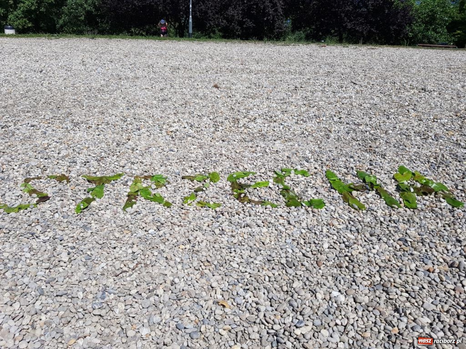 Zdjęcie w galerii na portalu naszraciborz.pl: Raciborzanie zatańczyli na festiwalu w Zagrzebiu  wiadomości z regionu
