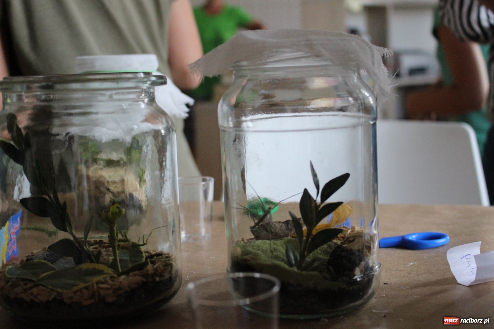 Zdjęcie w galerii na portalu naszraciborz.pl: Lato w Nędzy. Lipiec przepełniony atrakcjami [FOTO] wiadomości z regionu