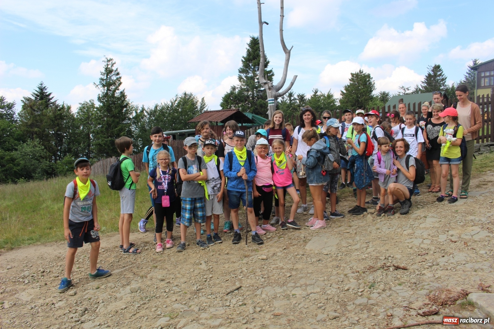 Zdjęcie w galerii na portalu naszraciborz.pl: Lato w Nędzy. Lipiec przepełniony atrakcjami [FOTO] wiadomości z regionu
