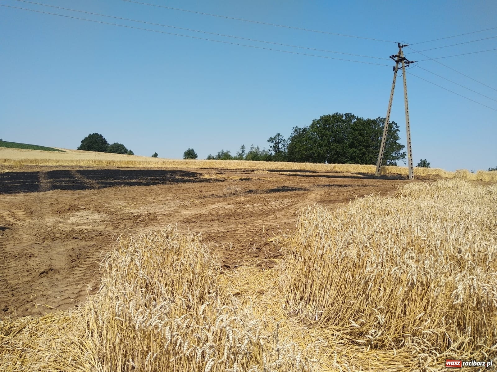 Zdjęcie w galerii na portalu naszraciborz.pl: Piątkowa seria pożarów na polach  wiadomości z regionu