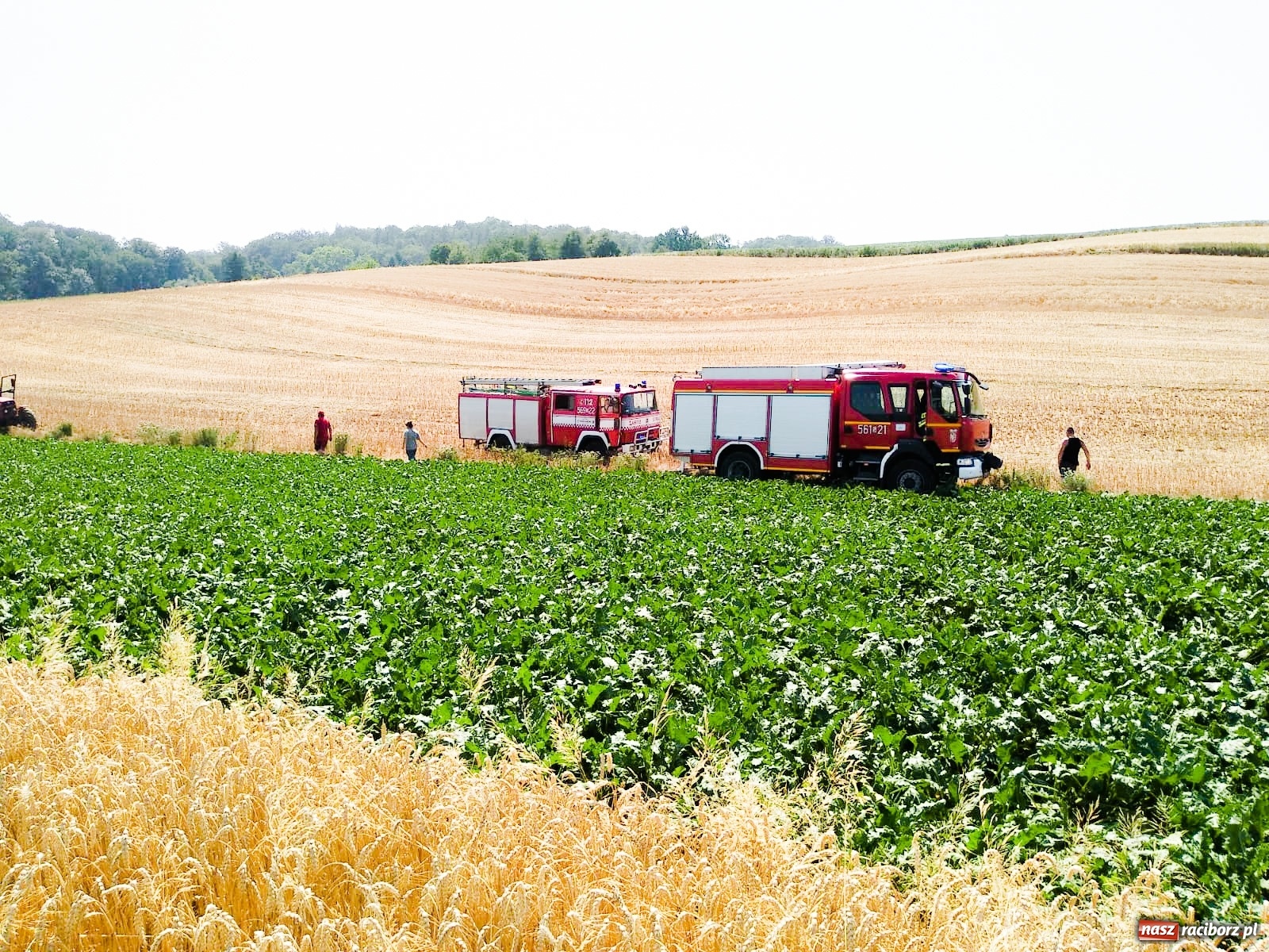 Zdjęcie w galerii na portalu naszraciborz.pl: Piątkowa seria pożarów na polach  wiadomości z regionu