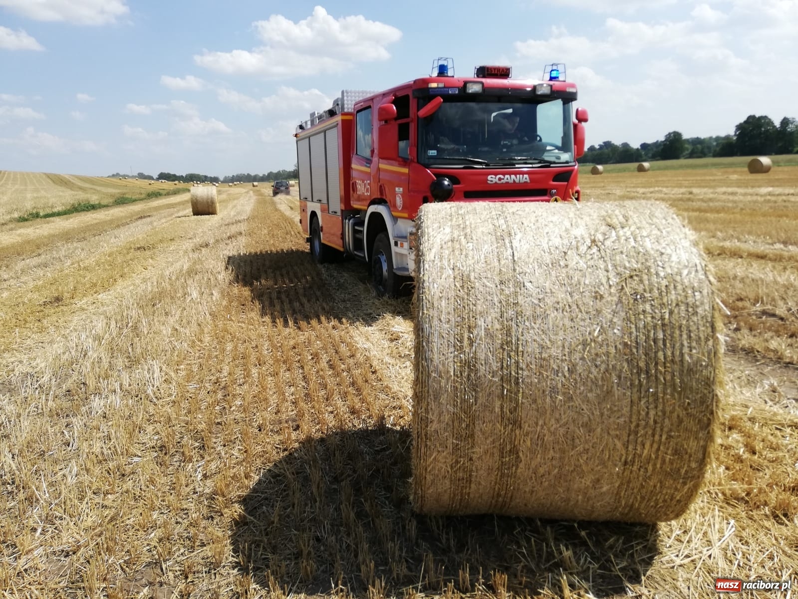 Zdjęcie w galerii na portalu naszraciborz.pl: Piątkowa seria pożarów na polach  wiadomości z regionu