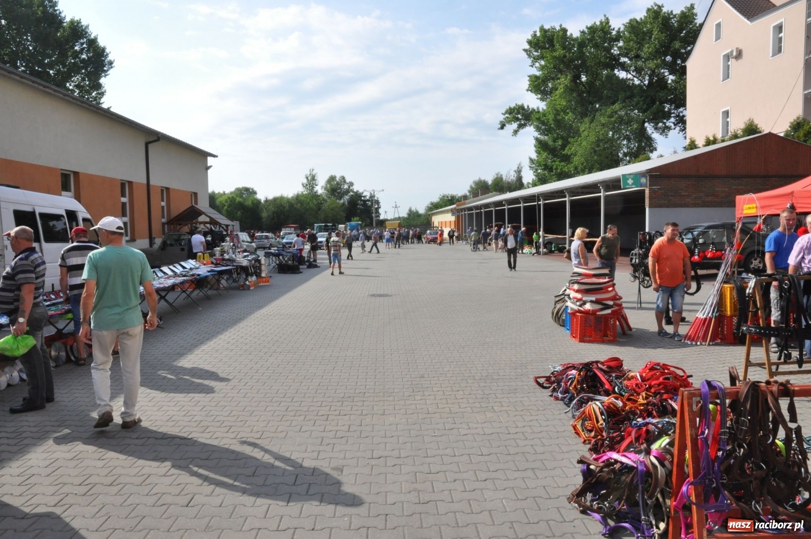 Zdjęcie w galerii na portalu naszraciborz.pl: W Pietrowicach Wielkich można znaleźć prawdziwe skarby  wiadomości z regionu