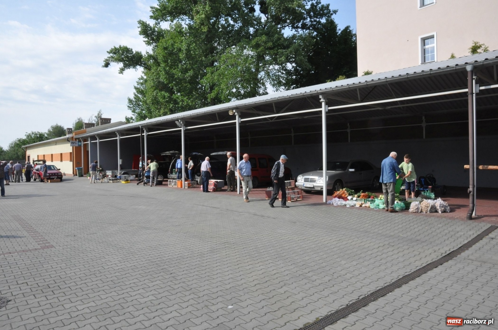 Zdjęcie w galerii na portalu naszraciborz.pl: W Pietrowicach Wielkich można znaleźć prawdziwe skarby  wiadomości z regionu