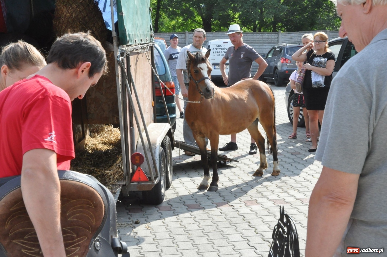 Zdjęcie w galerii na portalu naszraciborz.pl: W Pietrowicach Wielkich można znaleźć prawdziwe skarby  wiadomości z regionu
