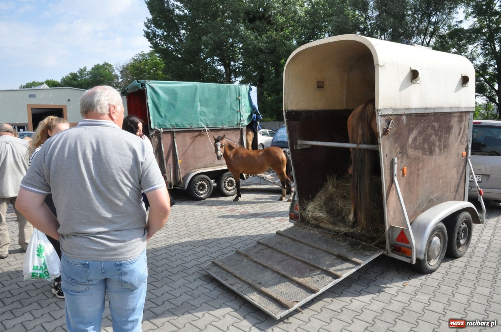 Zdjęcie w galerii na portalu naszraciborz.pl: W Pietrowicach Wielkich można znaleźć prawdziwe skarby  wiadomości z regionu