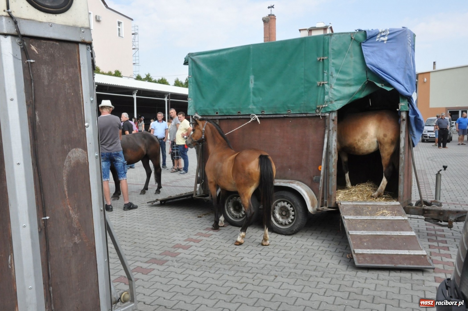 Zdjęcie w galerii na portalu naszraciborz.pl: W Pietrowicach Wielkich można znaleźć prawdziwe skarby  wiadomości z regionu