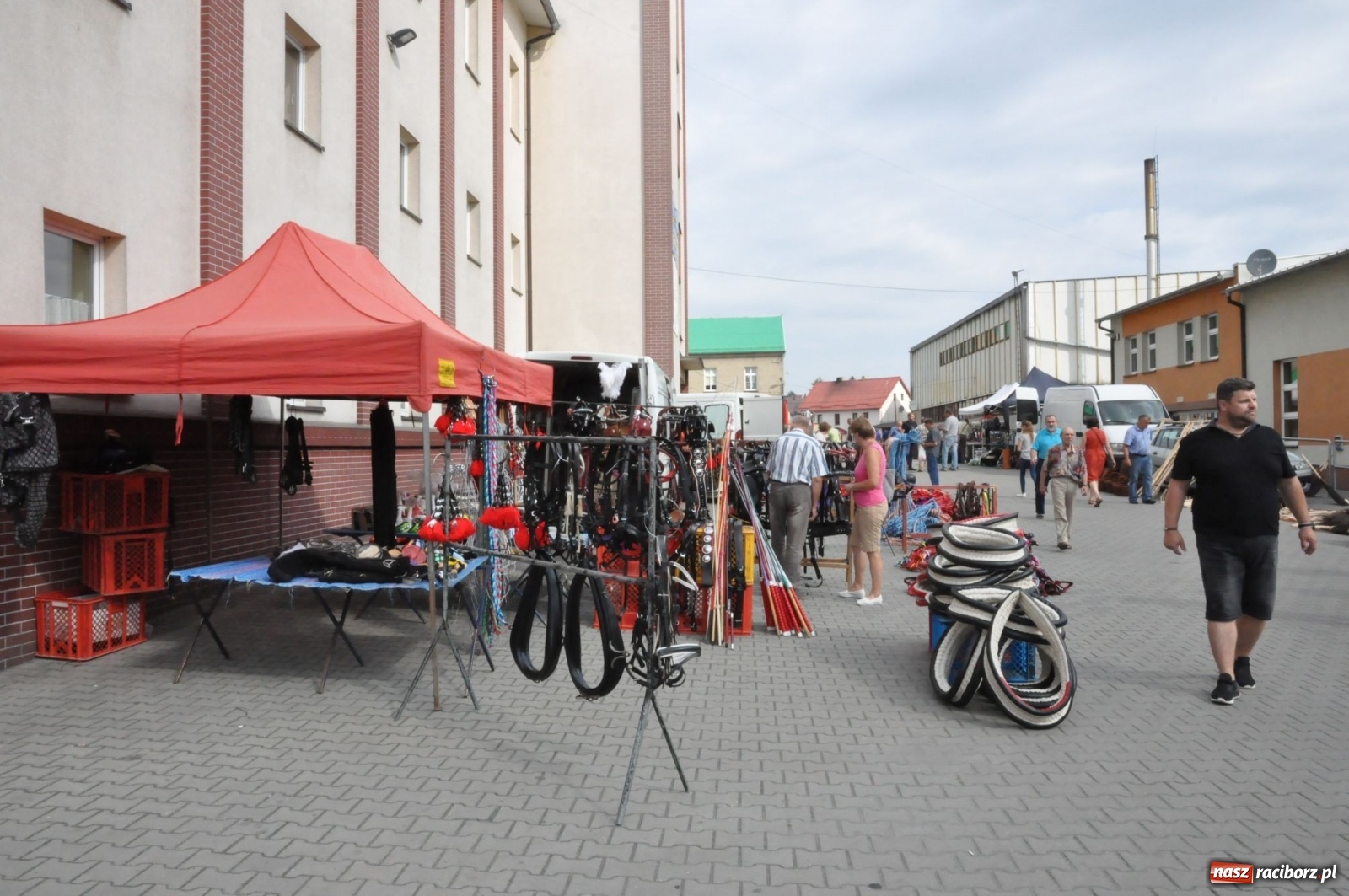 Zdjęcie w galerii na portalu naszraciborz.pl: W Pietrowicach Wielkich można znaleźć prawdziwe skarby  wiadomości z regionu
