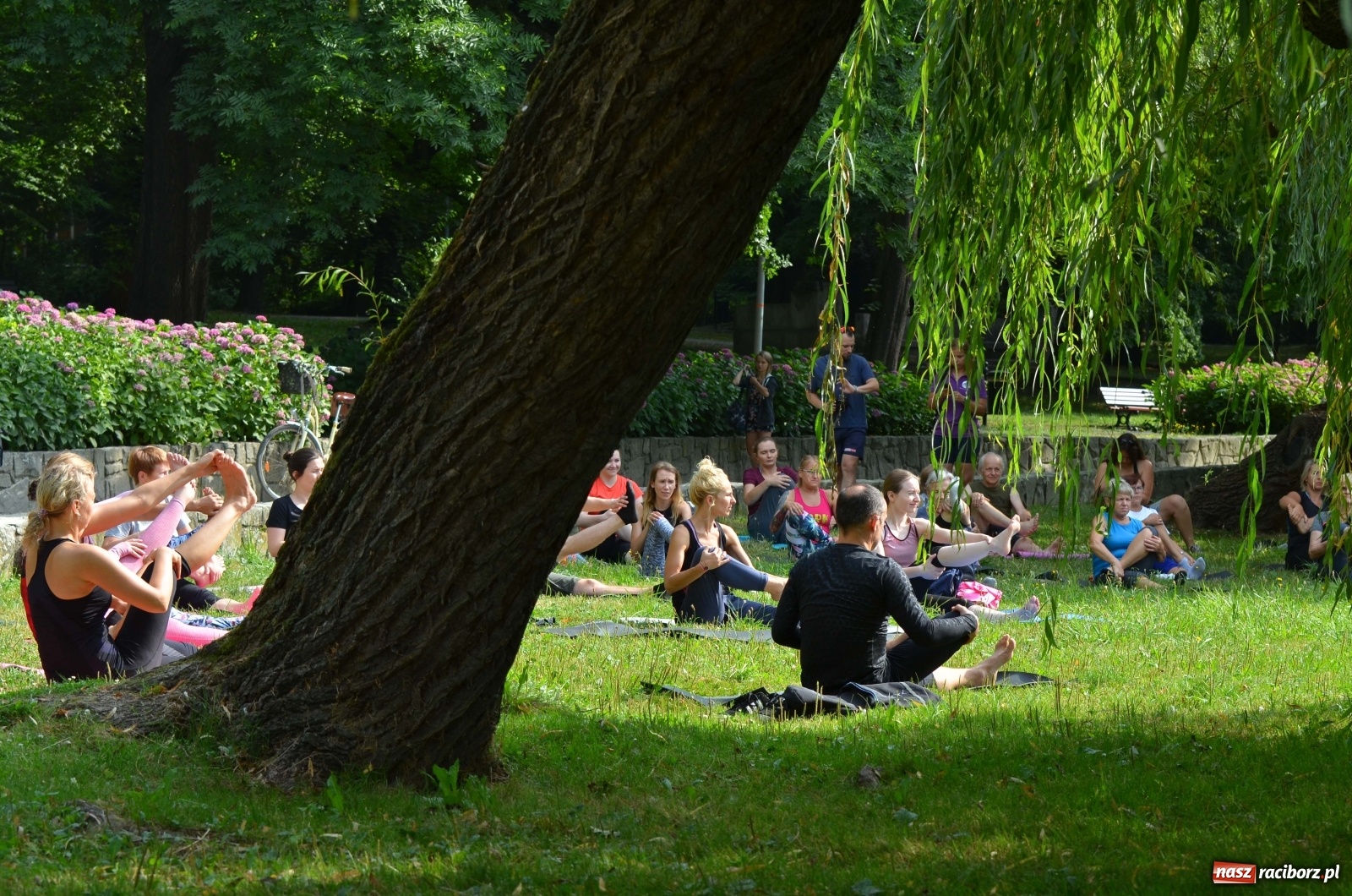 Zdjęcie w galerii na portalu naszraciborz.pl: Letni event z jogą w Parku m. Roth [FOTO] wiadomości z regionu