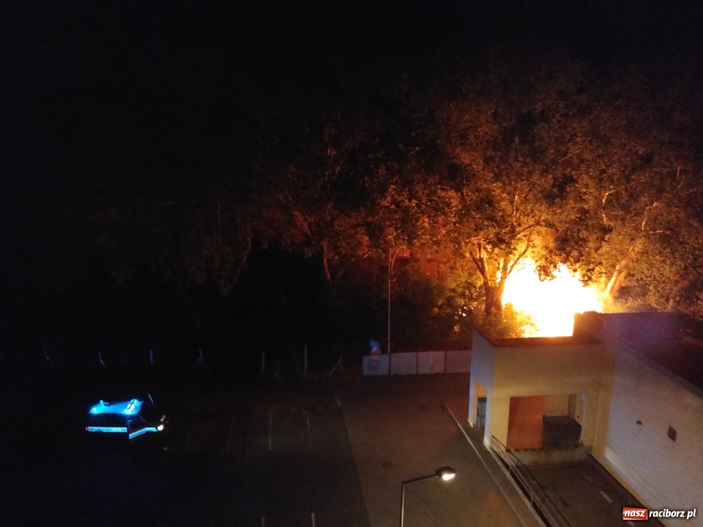 Zdjęcie w galerii na portalu naszraciborz.pl: Podpalenie przy szpitalu i zerwana linia  wiadomości z regionu