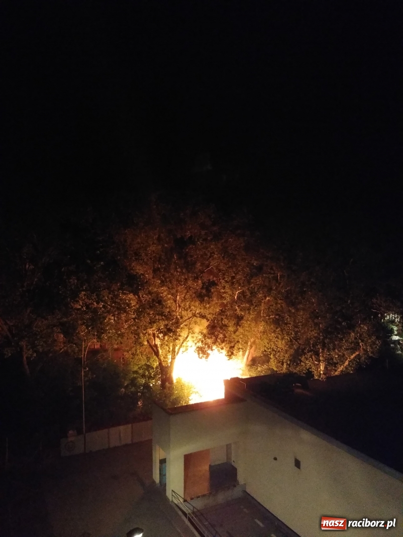 Zdjęcie w galerii na portalu naszraciborz.pl: Podpalenie przy szpitalu i zerwana linia  wiadomości z regionu