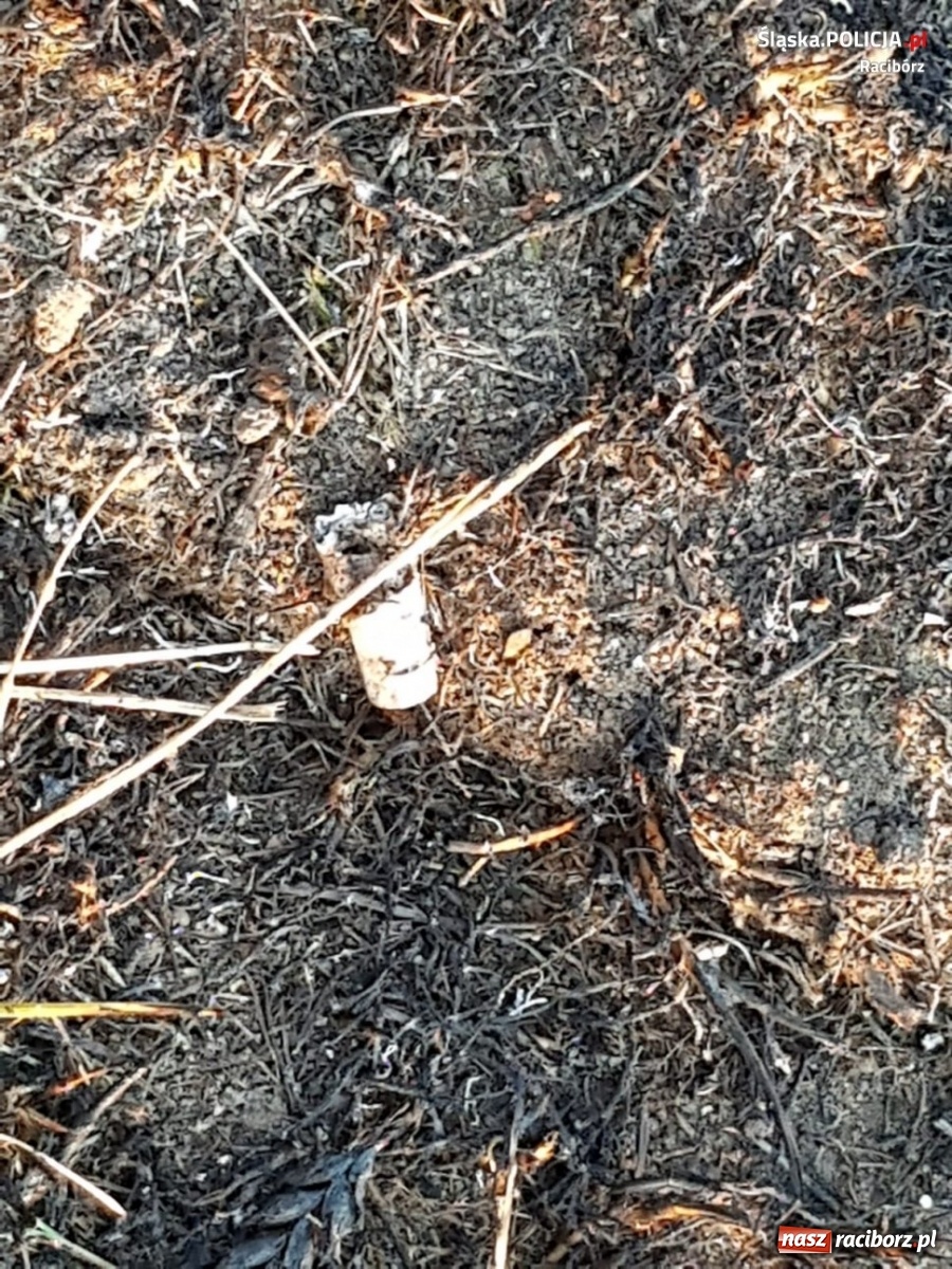 Zdjęcie w galerii na portalu naszraciborz.pl: Policja zatrzymała podpalacza z Rudy. Rzucił się na funkcjonariuszy! wiadomości z regionu
