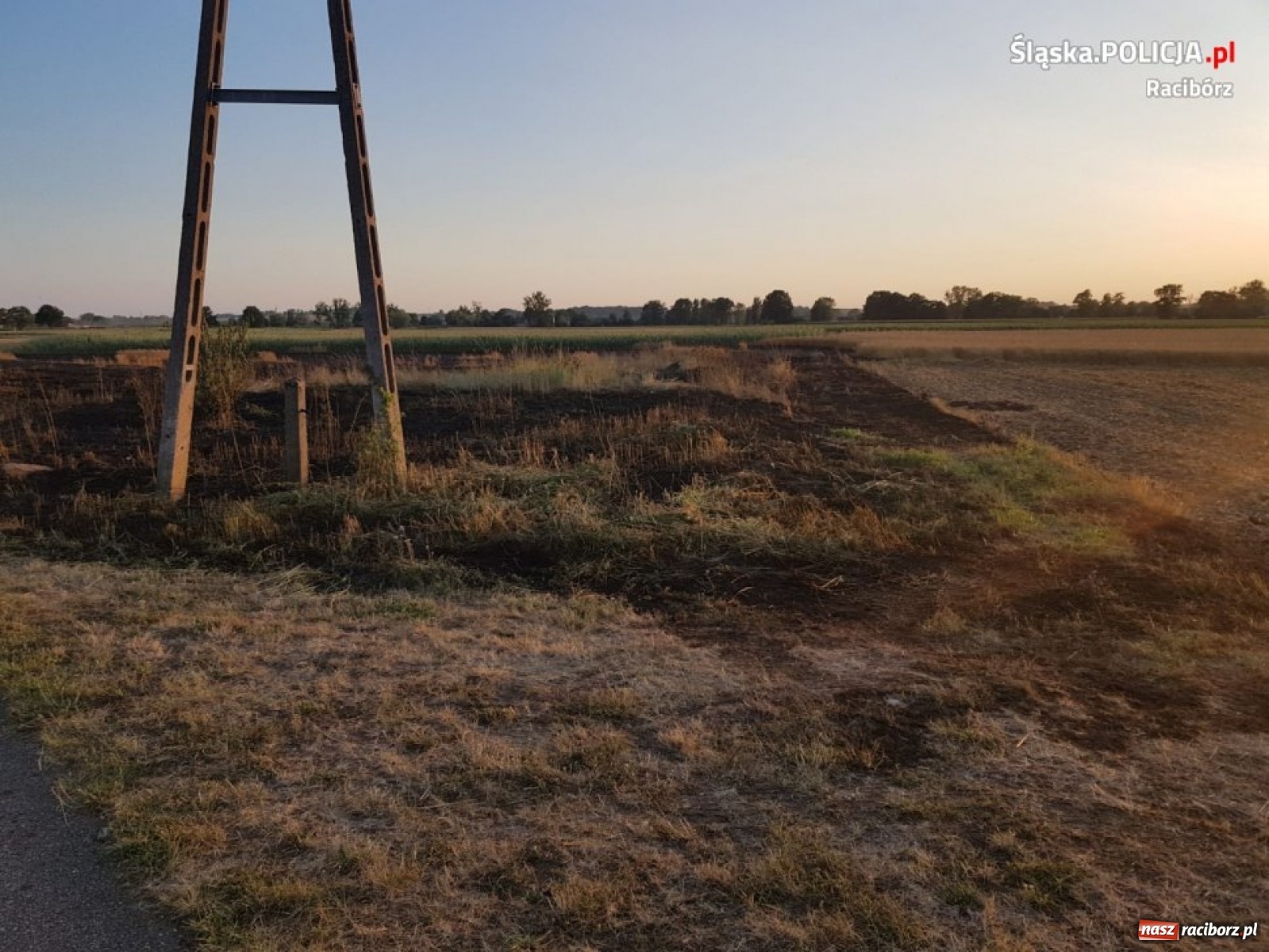 Zdjęcie w galerii na portalu naszraciborz.pl: Policja zatrzymała podpalacza z Rudy. Rzucił się na funkcjonariuszy! wiadomości z regionu
