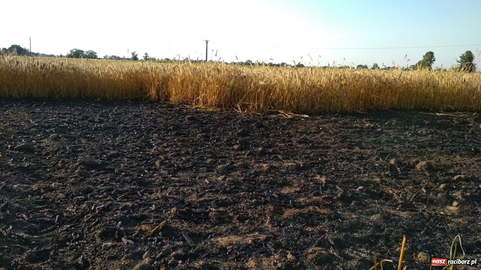 Zdjęcie w galerii na portalu naszraciborz.pl: Policja zatrzymała podpalacza z Rudy. Rzucił się na funkcjonariuszy! wiadomości z regionu