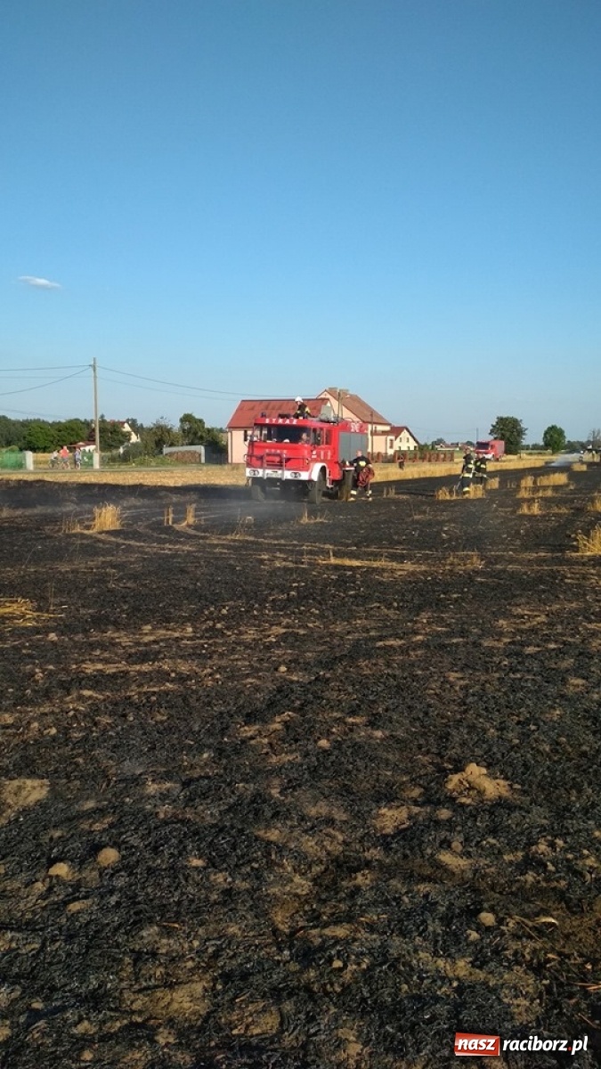 Zdjęcie w galerii na portalu naszraciborz.pl: Policja zatrzymała podpalacza z Rudy. Rzucił się na funkcjonariuszy! wiadomości z regionu