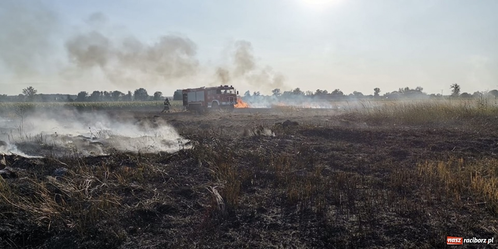 Zdjęcie w galerii na portalu naszraciborz.pl: Policja zatrzymała podpalacza z Rudy. Rzucił się na funkcjonariuszy! wiadomości z regionu