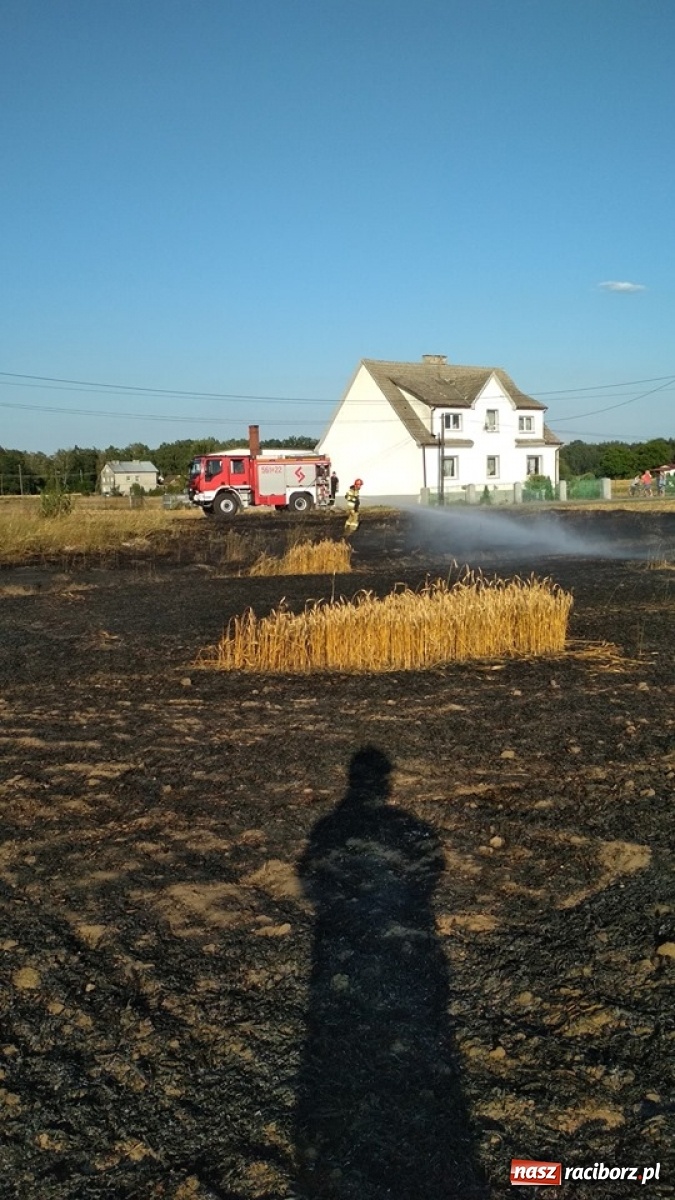 Zdjęcie w galerii na portalu naszraciborz.pl: Policja zatrzymała podpalacza z Rudy. Rzucił się na funkcjonariuszy! wiadomości z regionu