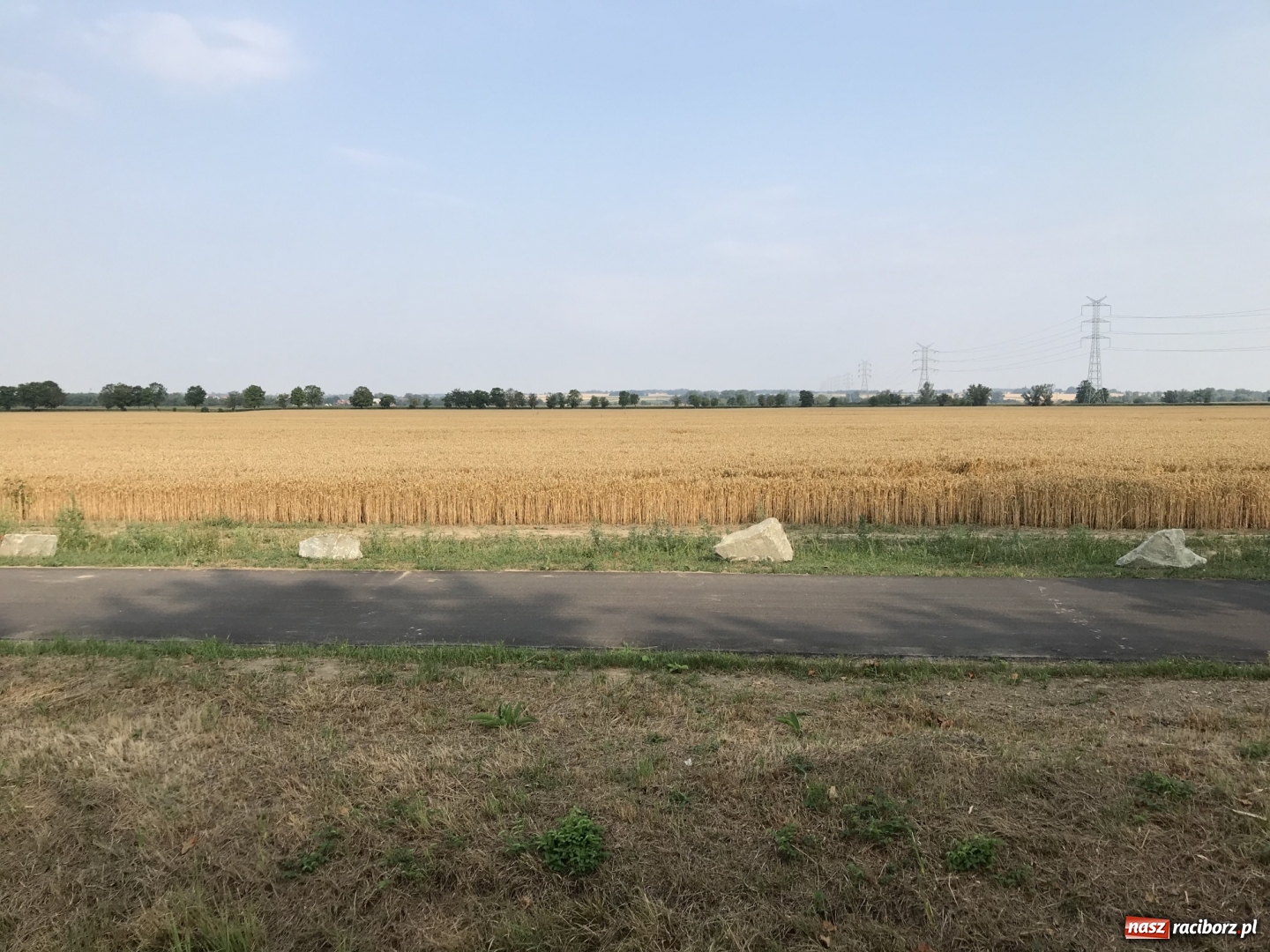 Zdjęcie w galerii na portalu naszraciborz.pl: Urząd ujawnił, ile zapłaci za kamienie przy ścieżce rowerowej  wiadomości z regionu