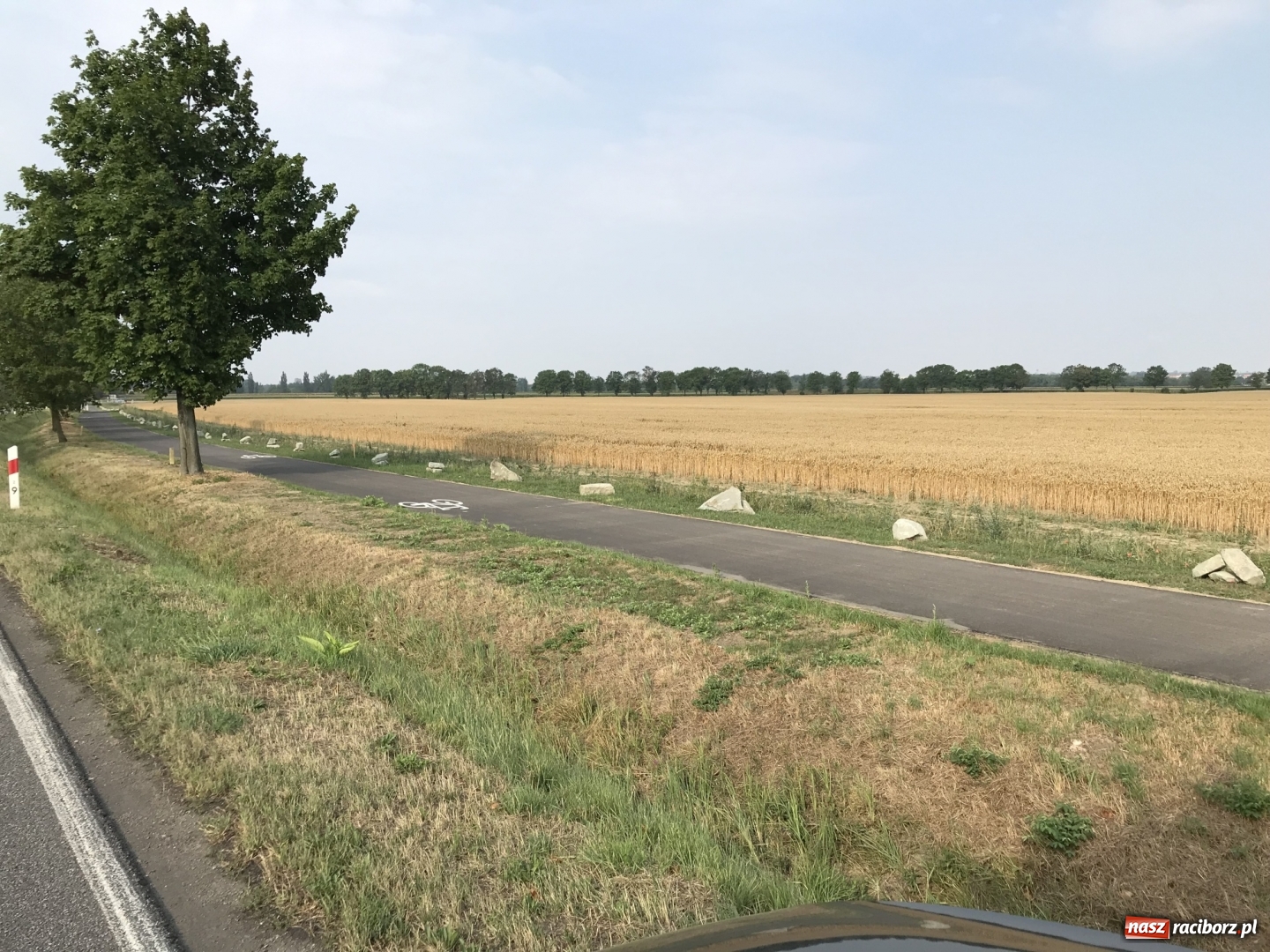 Zdjęcie w galerii na portalu naszraciborz.pl: Urząd ujawnił, ile zapłaci za kamienie przy ścieżce rowerowej  wiadomości z regionu