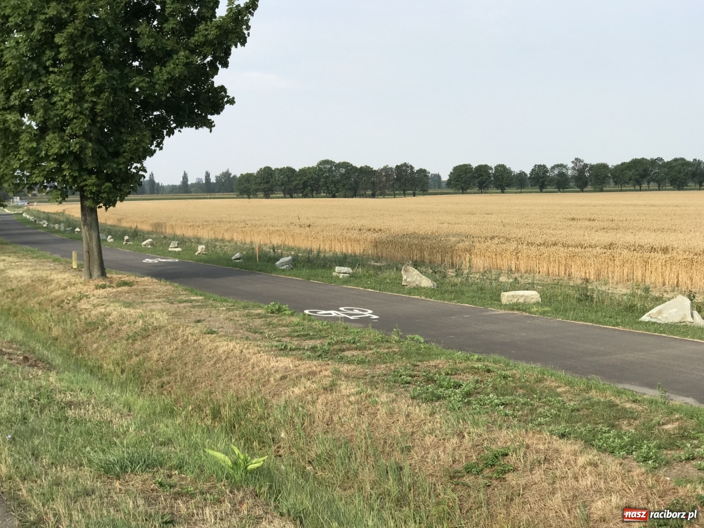 Zdjęcie w galerii na portalu naszraciborz.pl: Urząd ujawnił, ile zapłaci za kamienie przy ścieżce rowerowej  wiadomości z regionu