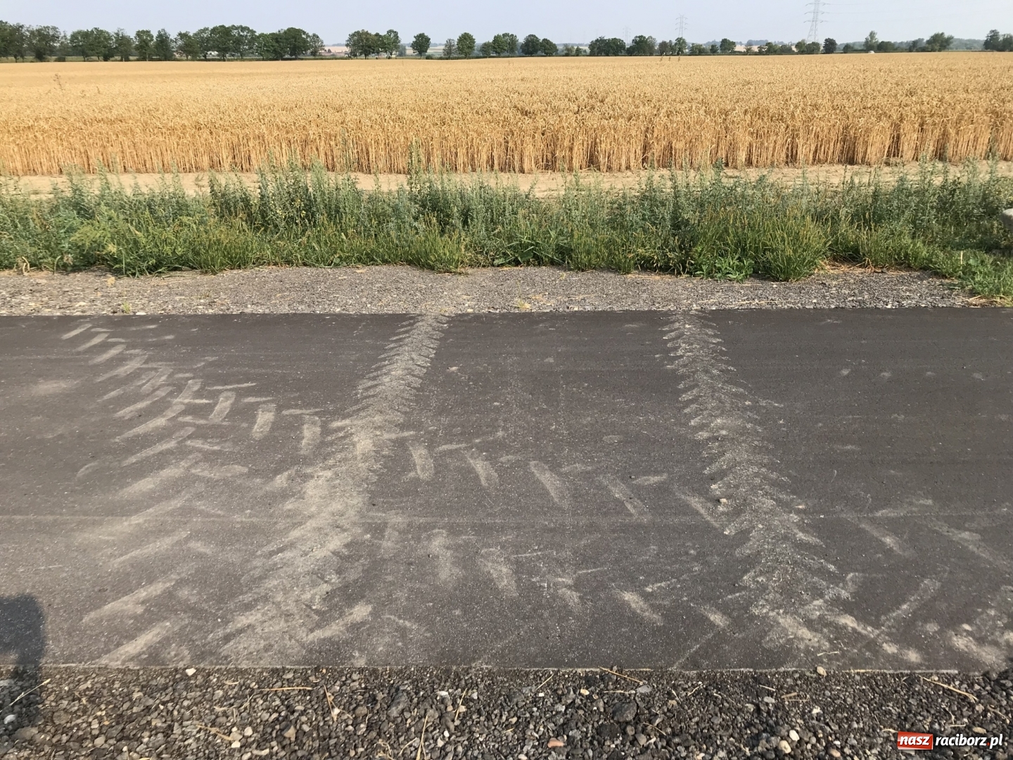 Zdjęcie w galerii na portalu naszraciborz.pl: Urząd ujawnił, ile zapłaci za kamienie przy ścieżce rowerowej  wiadomości z regionu