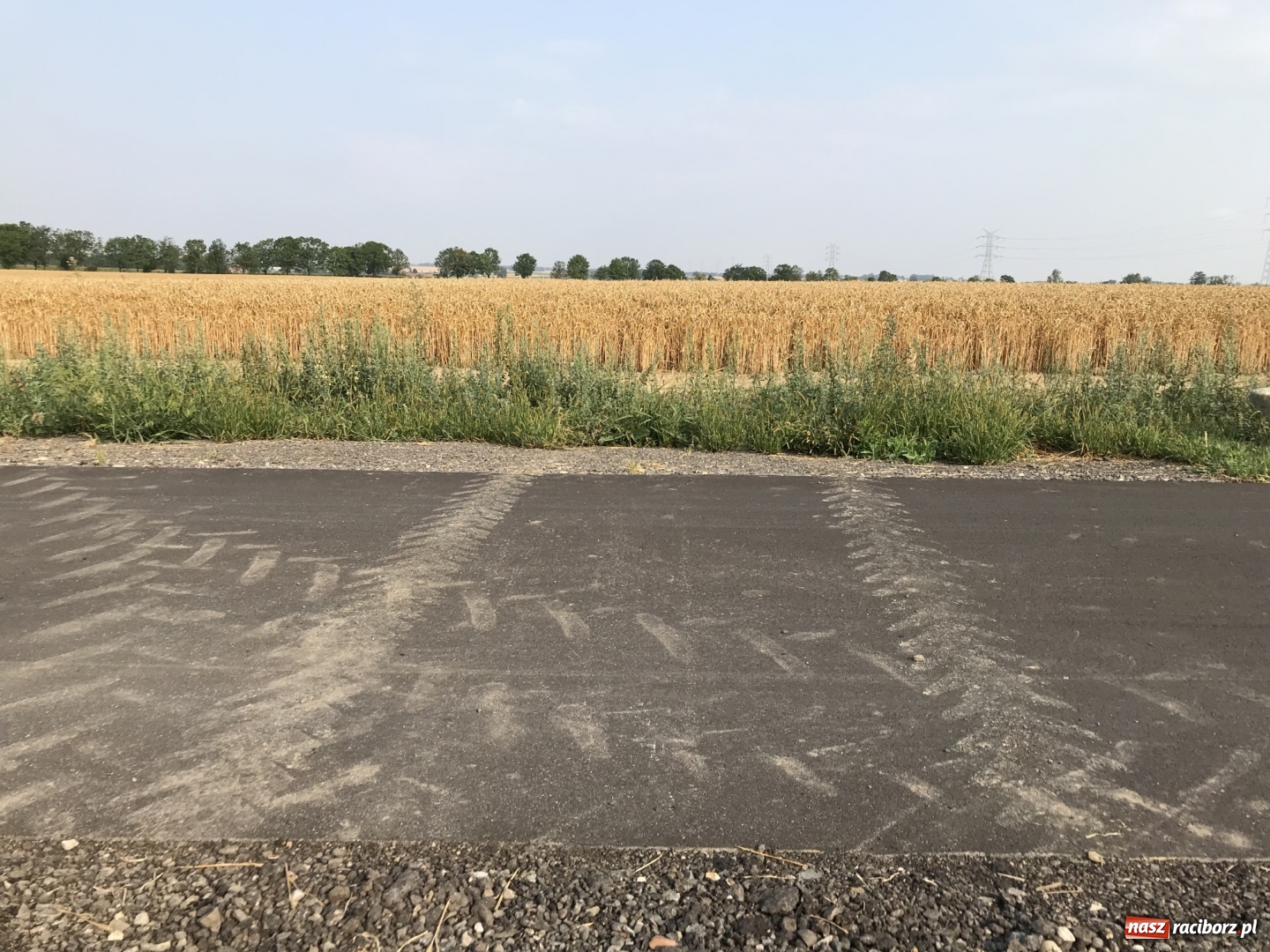 Zdjęcie w galerii na portalu naszraciborz.pl: Urząd ujawnił, ile zapłaci za kamienie przy ścieżce rowerowej  wiadomości z regionu