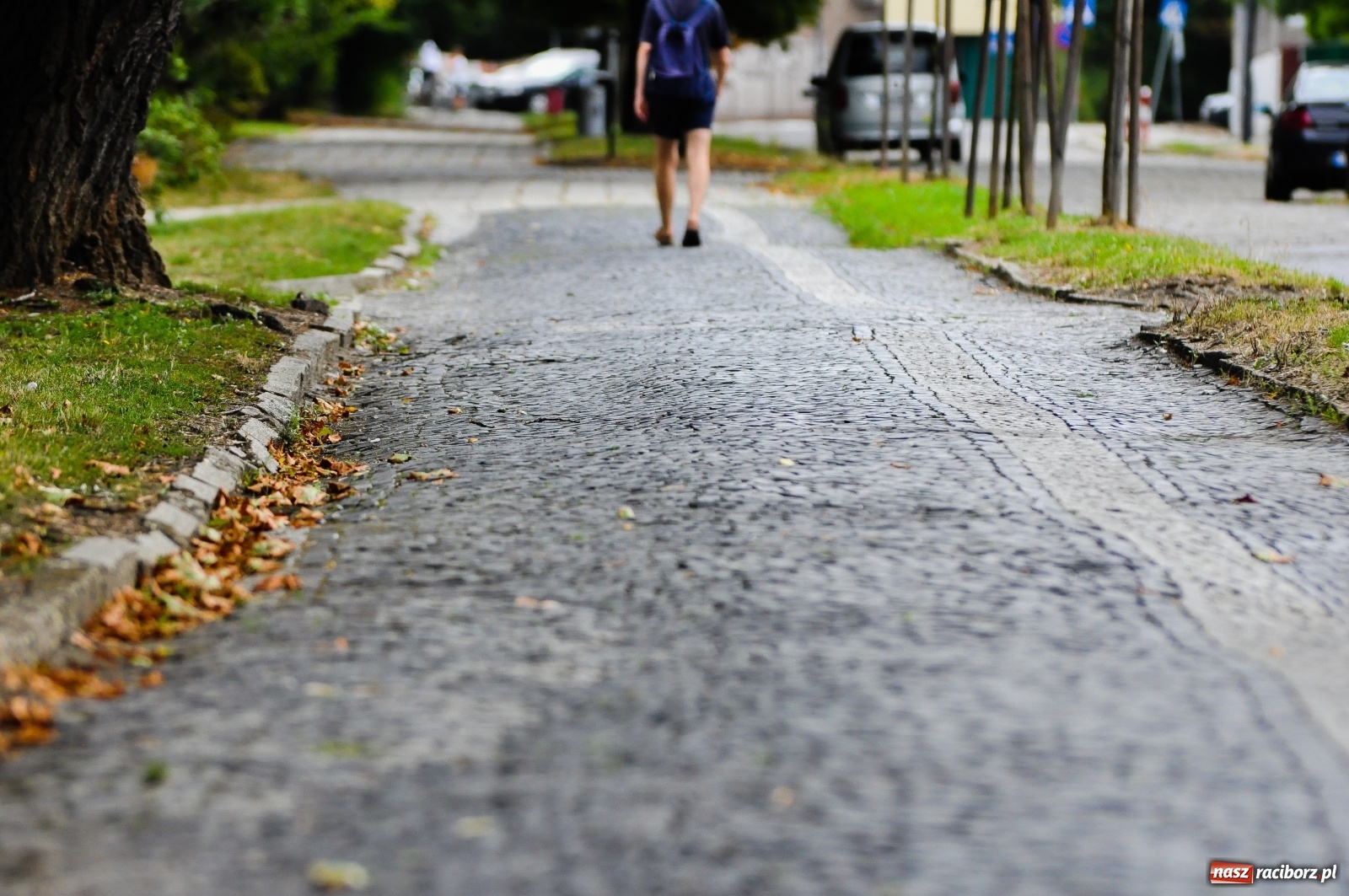 Zdjęcie w galerii na portalu naszraciborz.pl: Bema nie dla piratów! Znamy szczegóły przebudowy  wiadomości z regionu