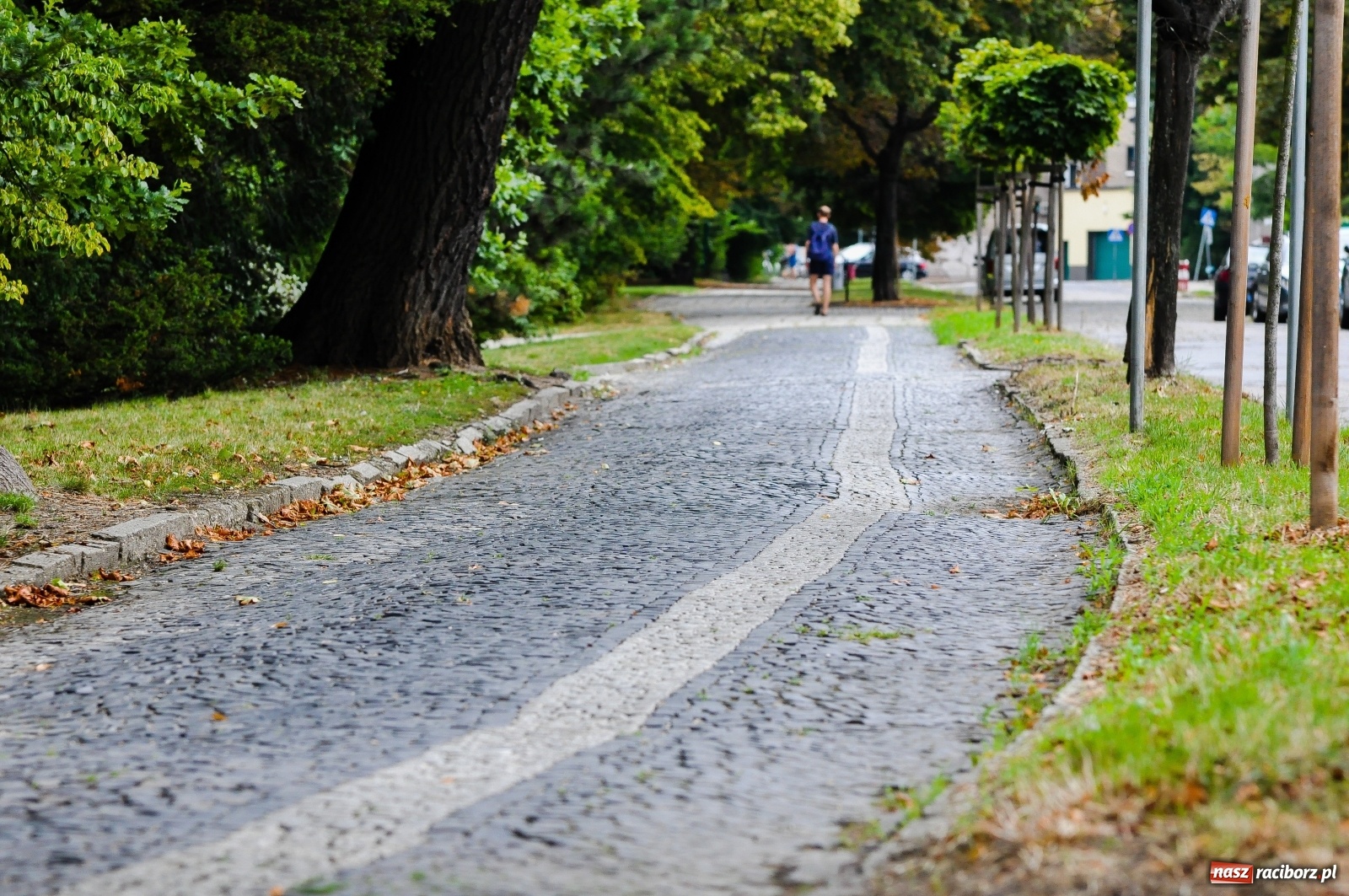 Zdjęcie w galerii na portalu naszraciborz.pl: Bema nie dla piratów! Znamy szczegóły przebudowy  wiadomości z regionu