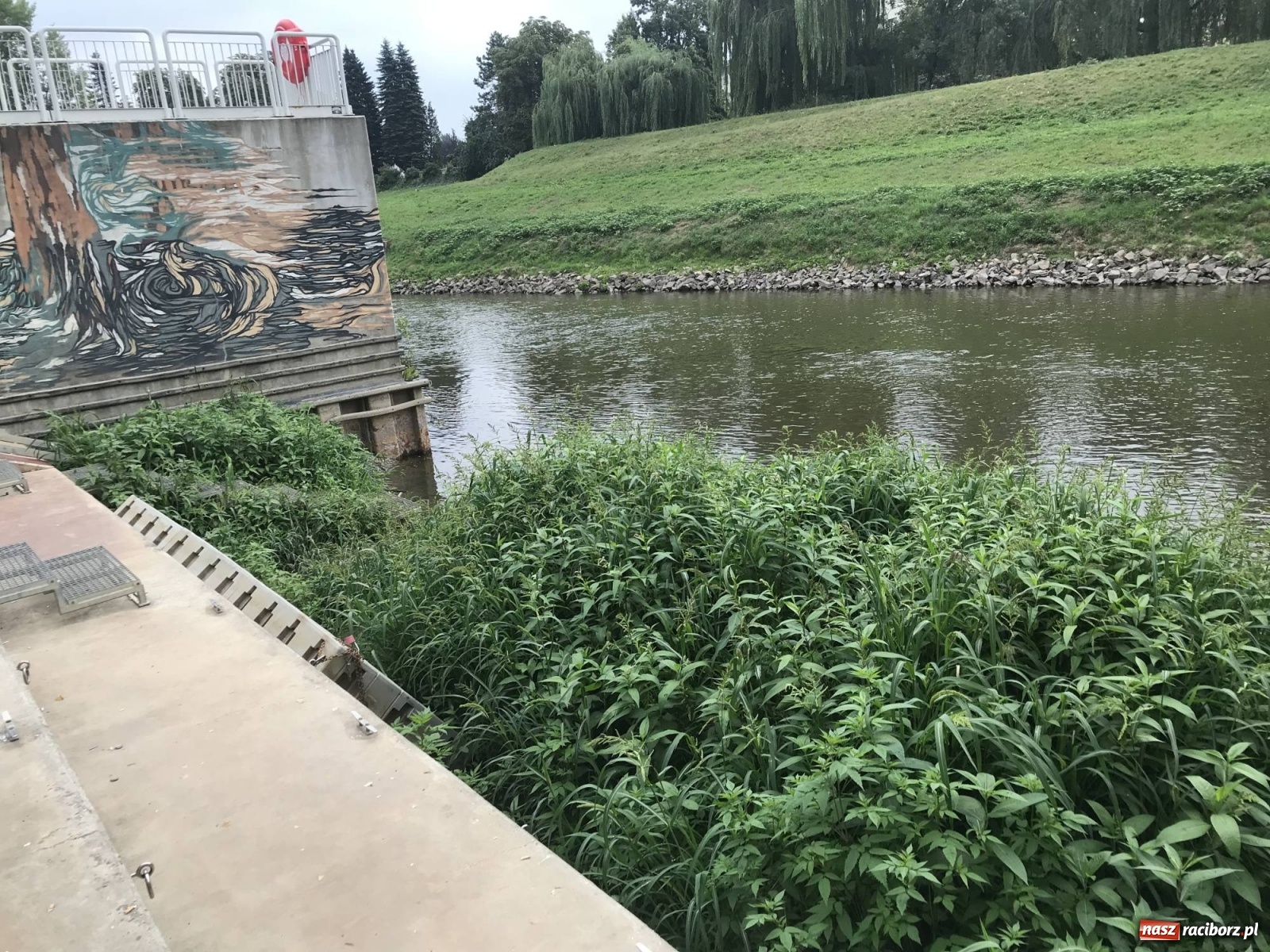 Zdjęcie w galerii na portalu naszraciborz.pl: Trzy miliony poszło w muł? Przystań nieprzydatna dla wodniaków [FOTO] wiadomości z regionu