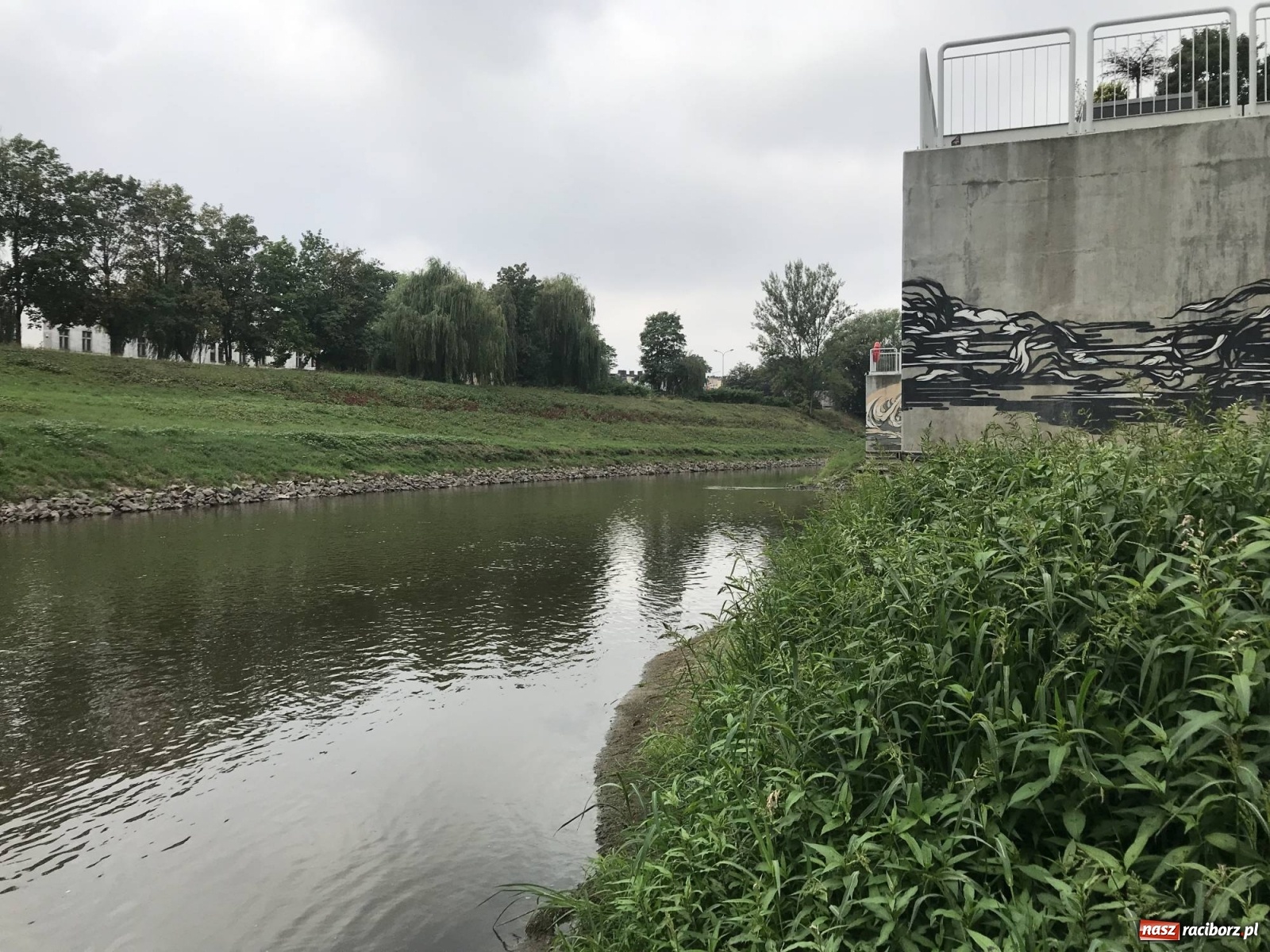 Zdjęcie w galerii na portalu naszraciborz.pl: Trzy miliony poszło w muł? Przystań nieprzydatna dla wodniaków [FOTO] wiadomości z regionu
