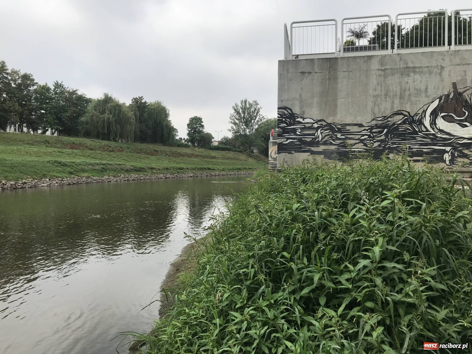 Zdjęcie w galerii na portalu naszraciborz.pl: Trzy miliony poszło w muł? Przystań nieprzydatna dla wodniaków [FOTO] wiadomości z regionu