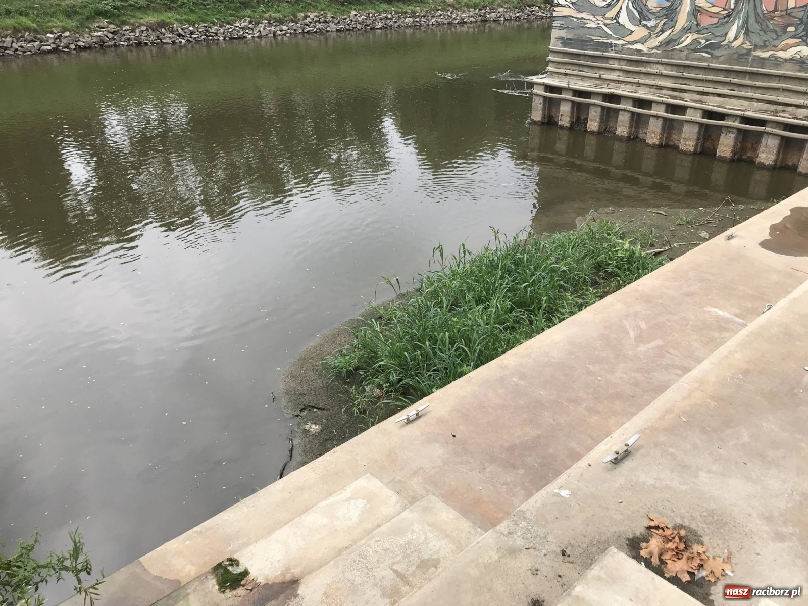 Zdjęcie w galerii na portalu naszraciborz.pl: Trzy miliony poszło w muł? Przystań nieprzydatna dla wodniaków [FOTO] wiadomości z regionu