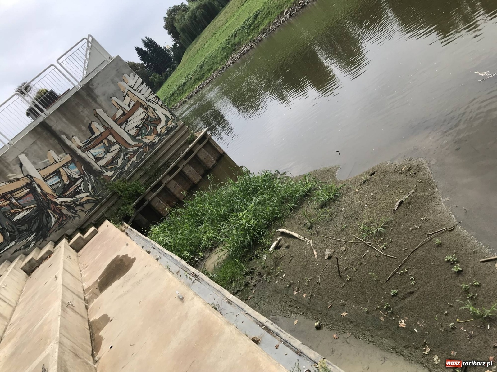 Zdjęcie w galerii na portalu naszraciborz.pl: Trzy miliony poszło w muł? Przystań nieprzydatna dla wodniaków [FOTO] wiadomości z regionu