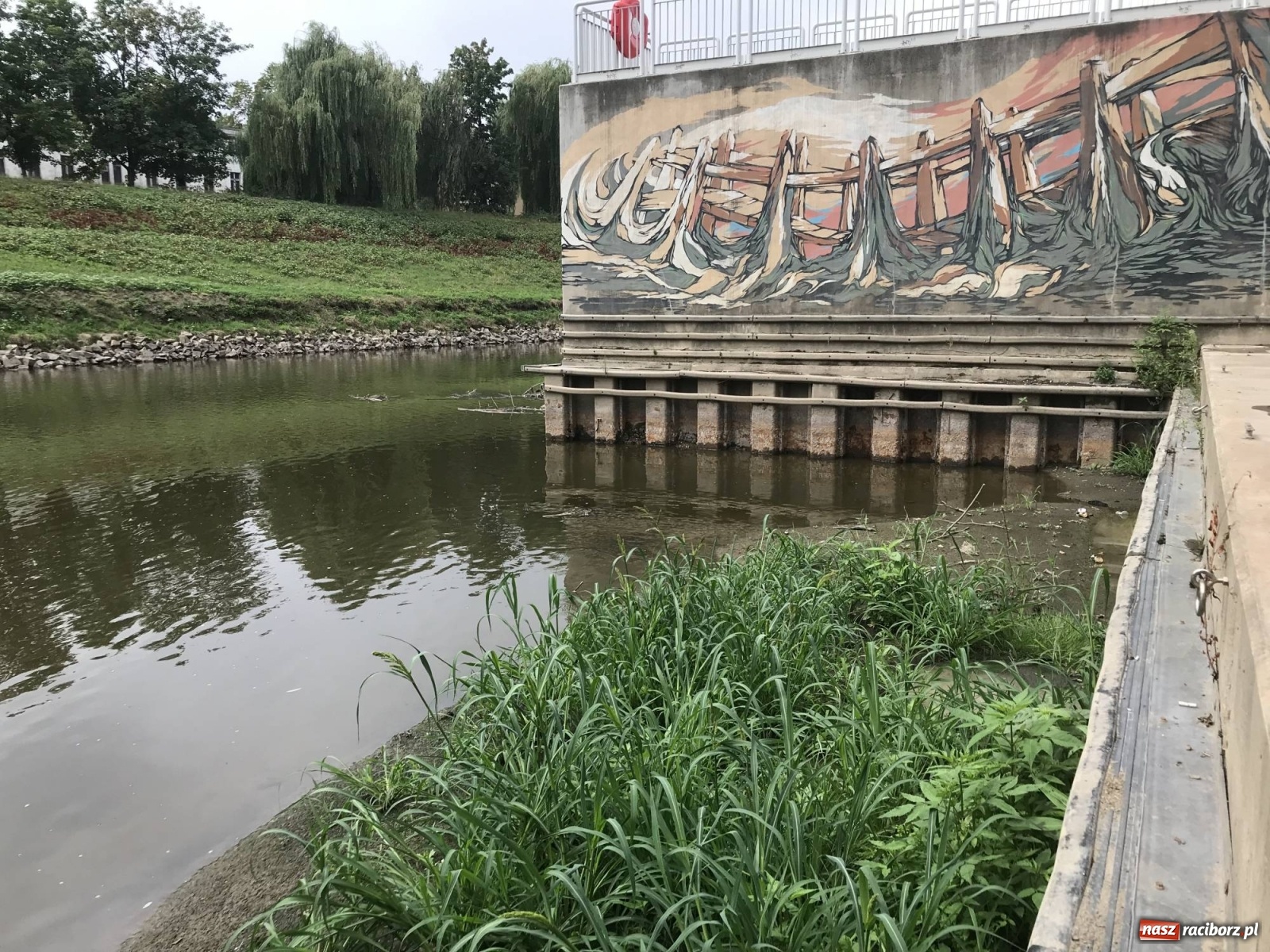 Zdjęcie w galerii na portalu naszraciborz.pl: Trzy miliony poszło w muł? Przystań nieprzydatna dla wodniaków [FOTO] wiadomości z regionu