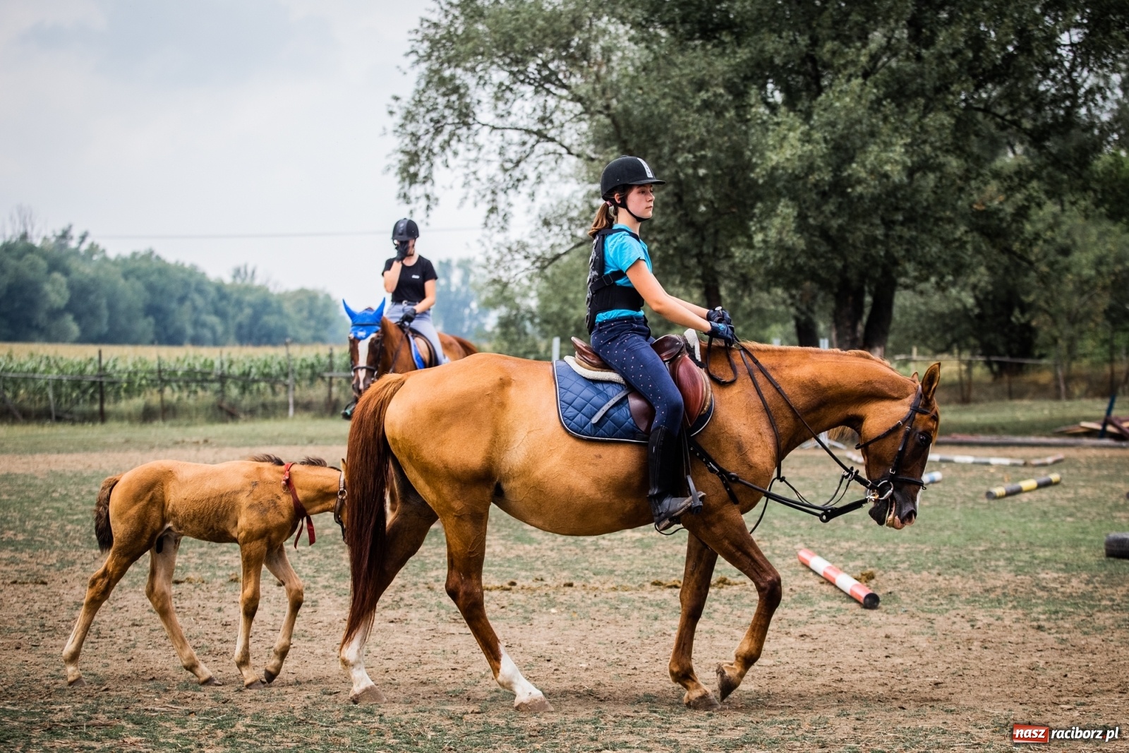 Zdjęcie w galerii na portalu naszraciborz.pl: Wakacje w siodle w Raciborzu [FOTO] wiadomości z regionu