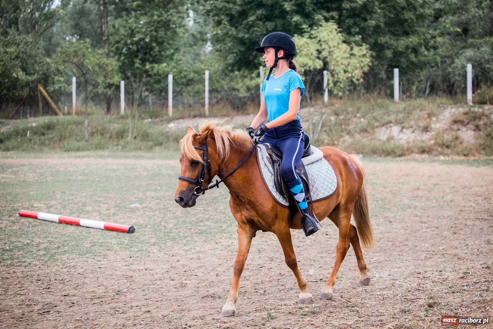 Zdjęcie w galerii na portalu naszraciborz.pl: Wakacje w siodle w Raciborzu [FOTO] wiadomości z regionu