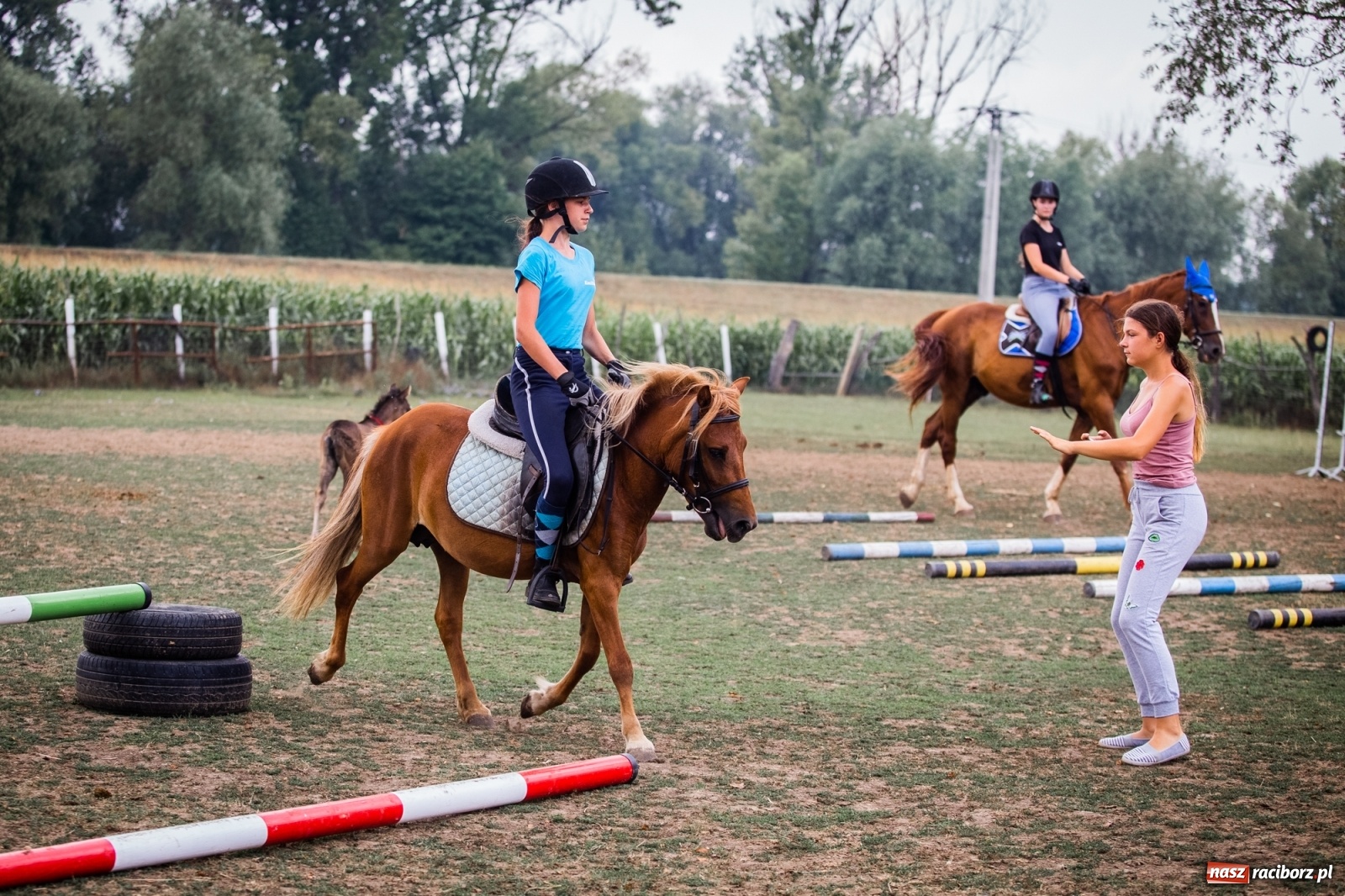 Zdjęcie w galerii na portalu naszraciborz.pl: Wakacje w siodle w Raciborzu [FOTO] wiadomości z regionu