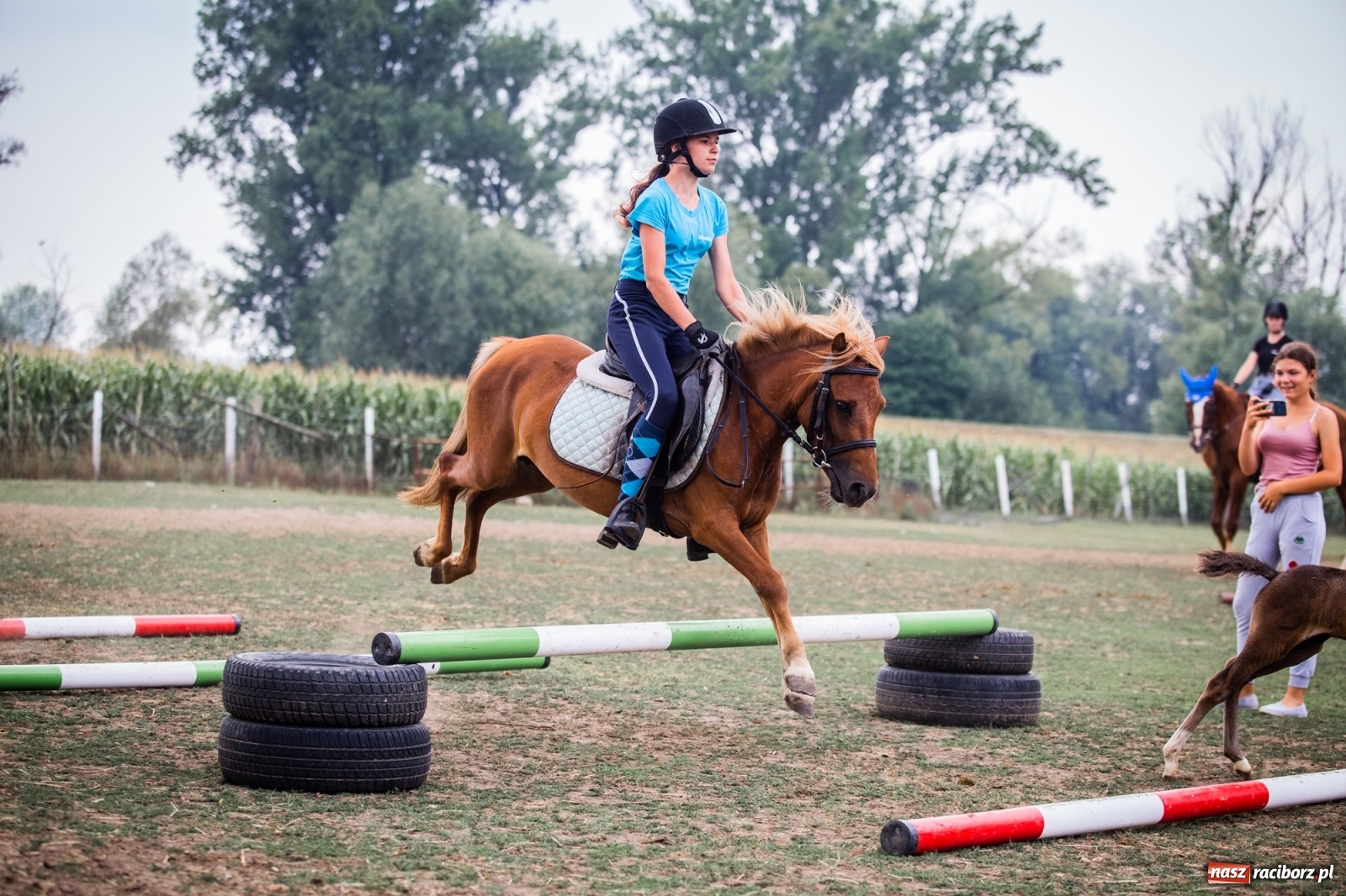 Zdjęcie w galerii na portalu naszraciborz.pl: Wakacje w siodle w Raciborzu [FOTO] wiadomości z regionu