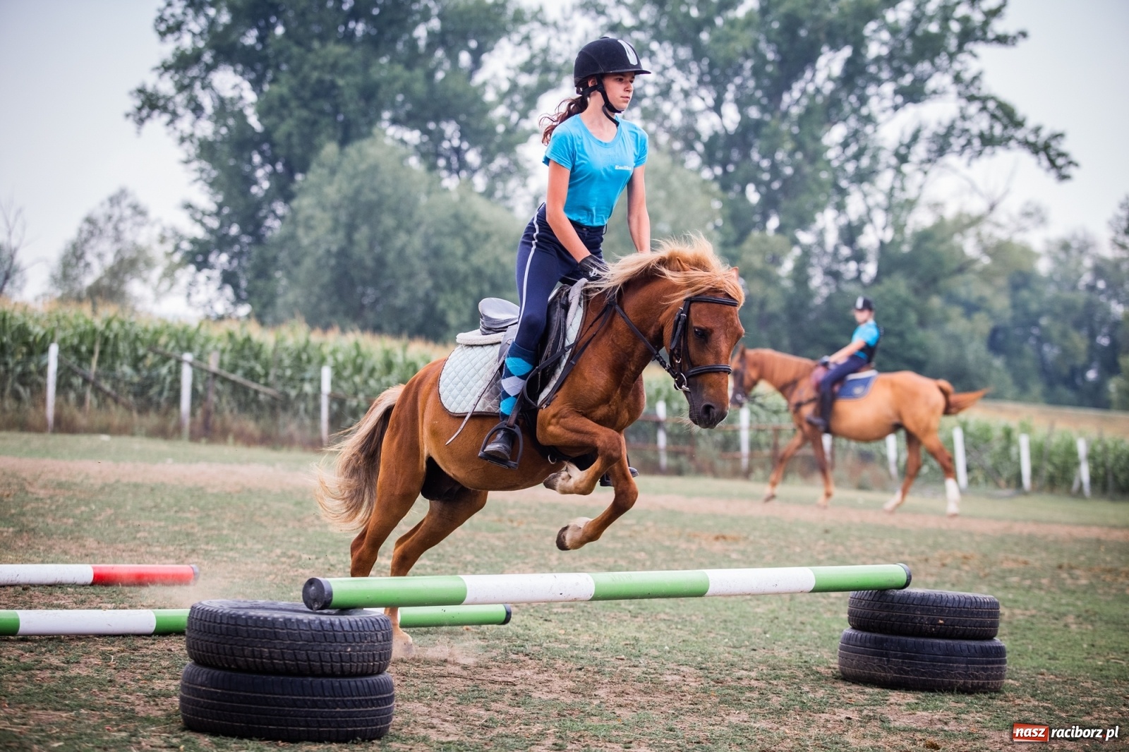 Zdjęcie w galerii na portalu naszraciborz.pl: Wakacje w siodle w Raciborzu [FOTO] wiadomości z regionu