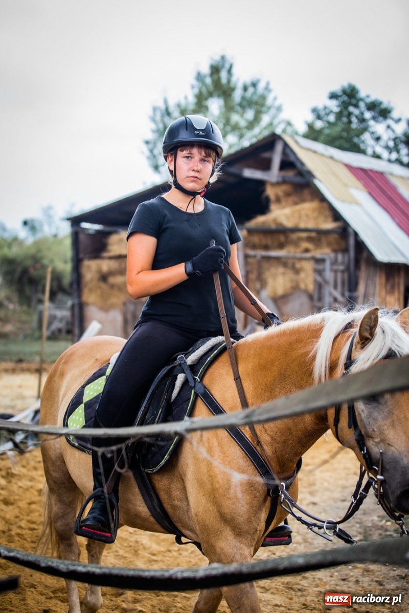 Zdjęcie w galerii na portalu naszraciborz.pl: Wakacje w siodle w Raciborzu [FOTO] wiadomości z regionu