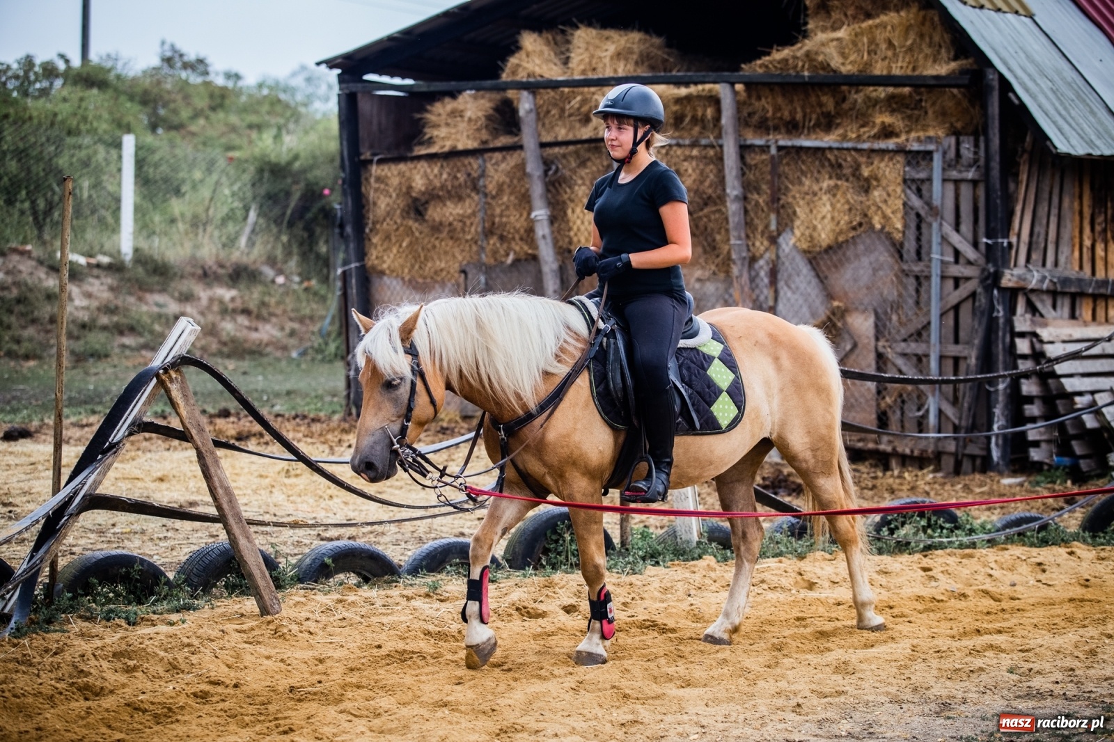 Zdjęcie w galerii na portalu naszraciborz.pl: Wakacje w siodle w Raciborzu [FOTO] wiadomości z regionu