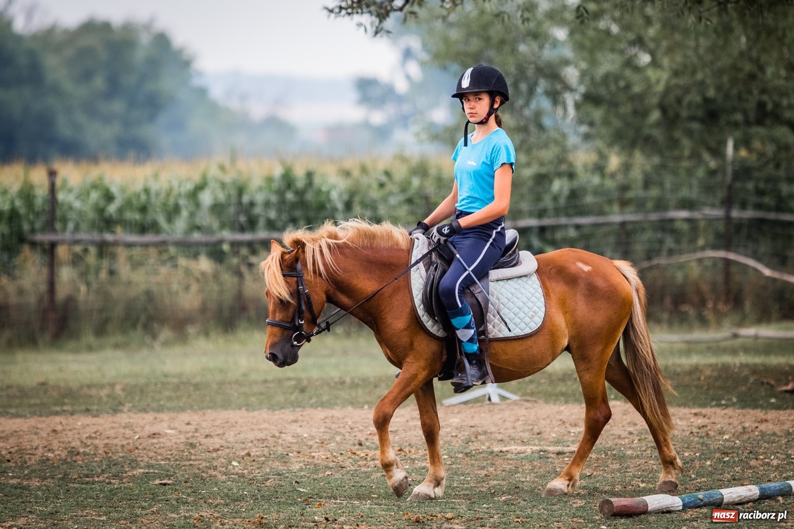 Zdjęcie w galerii na portalu naszraciborz.pl: Wakacje w siodle w Raciborzu [FOTO] wiadomości z regionu