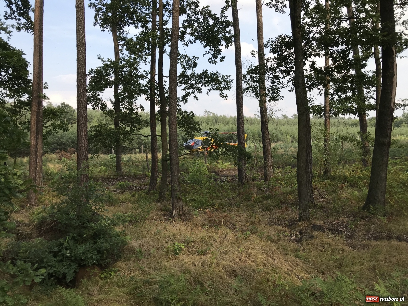 Zdjęcie w galerii na portalu naszraciborz.pl: Ciężki wypadek na trasie Nędza-Kuźnia Raciborska [FOTO] i [WIDEO] wiadomości z regionu