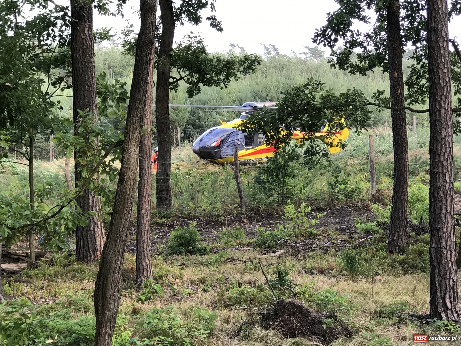 Zdjęcie w galerii na portalu naszraciborz.pl: Ciężki wypadek na trasie Nędza-Kuźnia Raciborska [FOTO] i [WIDEO] wiadomości z regionu