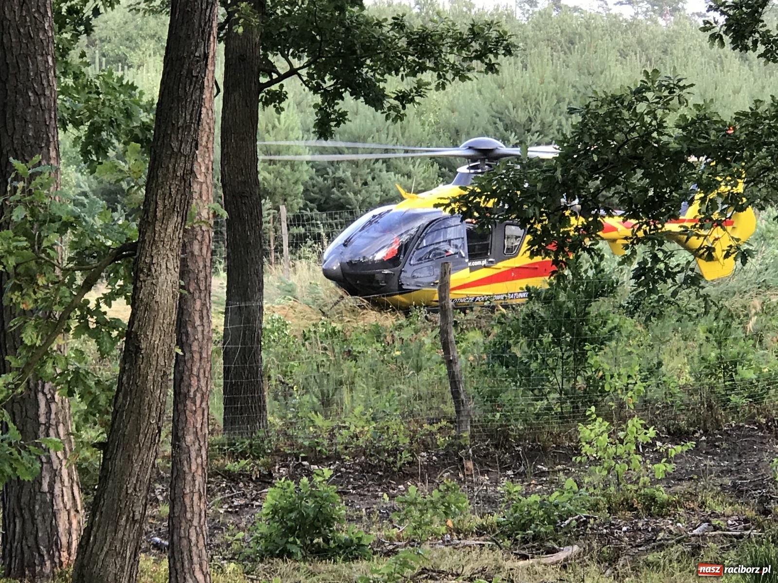 Zdjęcie w galerii na portalu naszraciborz.pl: Ciężki wypadek na trasie Nędza-Kuźnia Raciborska [FOTO] i [WIDEO] wiadomości z regionu