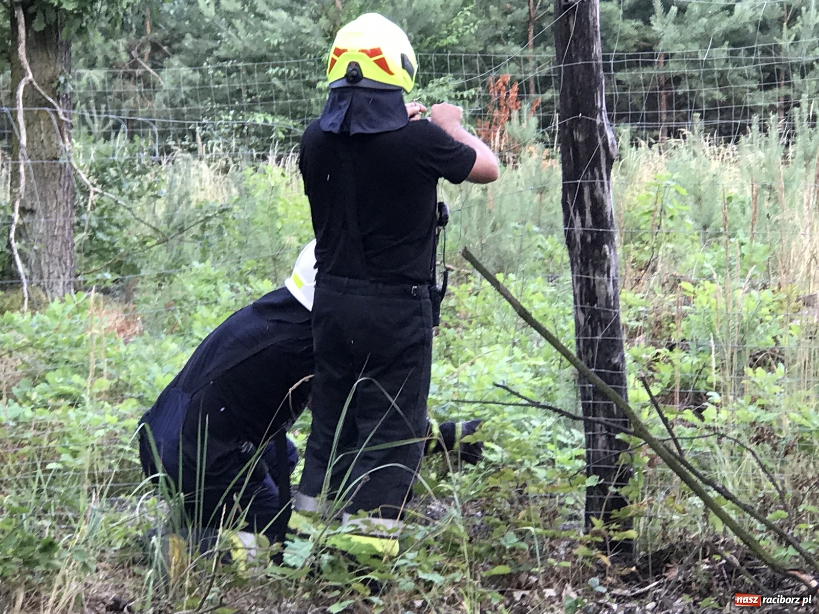 Zdjęcie w galerii na portalu naszraciborz.pl: Ciężki wypadek na trasie Nędza-Kuźnia Raciborska [FOTO] i [WIDEO] wiadomości z regionu