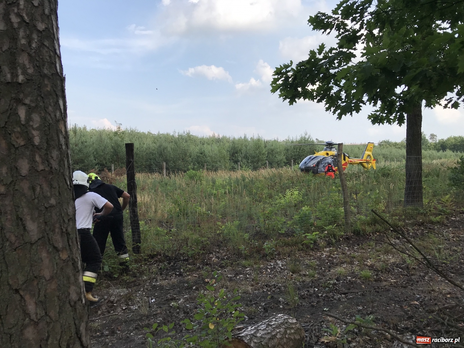 Zdjęcie w galerii na portalu naszraciborz.pl: Ciężki wypadek na trasie Nędza-Kuźnia Raciborska [FOTO] i [WIDEO] wiadomości z regionu