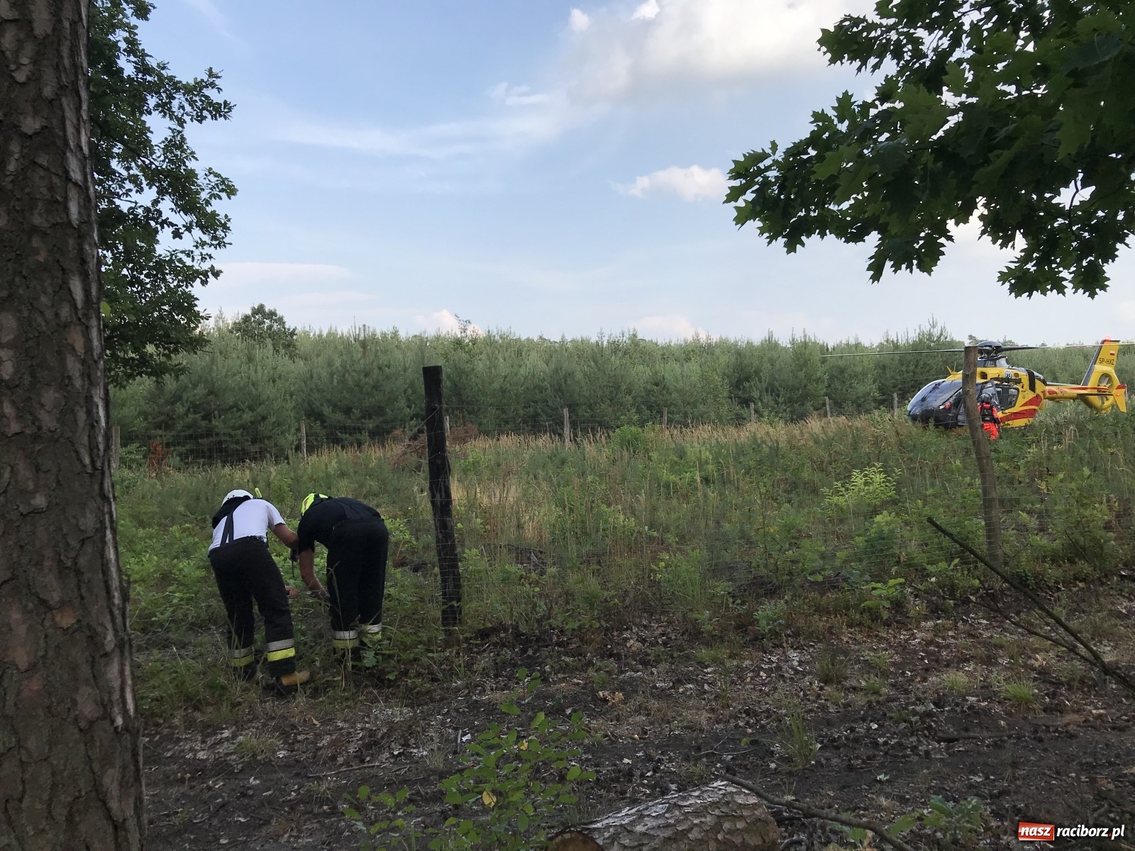 Zdjęcie w galerii na portalu naszraciborz.pl: Ciężki wypadek na trasie Nędza-Kuźnia Raciborska [FOTO] i [WIDEO] wiadomości z regionu