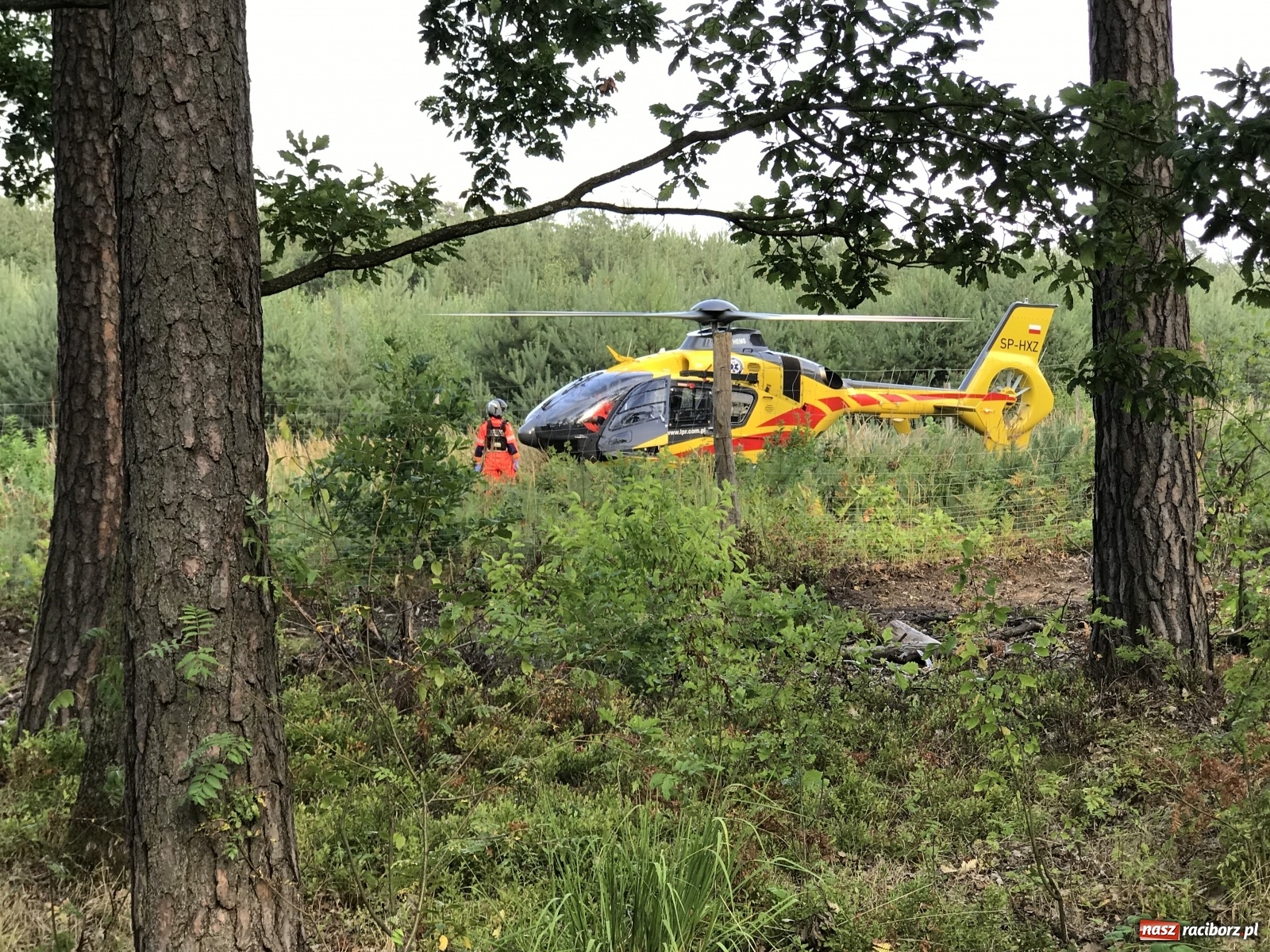 Zdjęcie w galerii na portalu naszraciborz.pl: Ciężki wypadek na trasie Nędza-Kuźnia Raciborska [FOTO] i [WIDEO] wiadomości z regionu