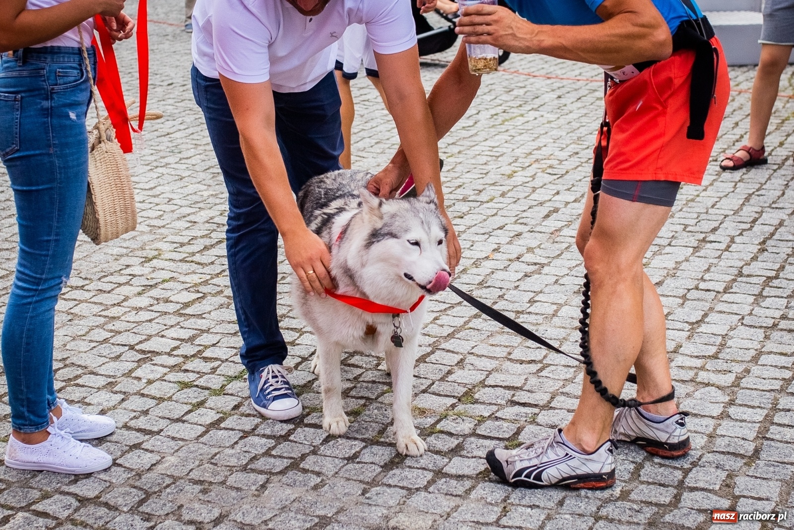 Zdjęcie w galerii na portalu naszraciborz.pl: Raciborski Bieg wokół komina. O co tu chodzi? wiadomości z regionu